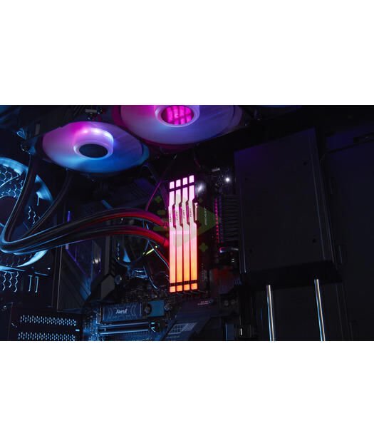 32GB 6400MT/s DDR5 CL32 DIMM Beast RGB EXPO Turkey