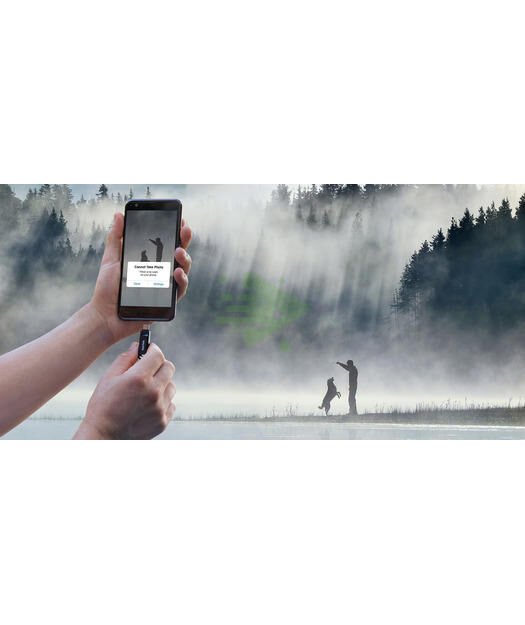 SanDisk Ultra Dual Drive Go Type-C 512GB