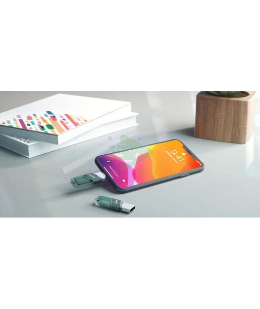 SanDisk iXpand Flash Drive 256GB Type A