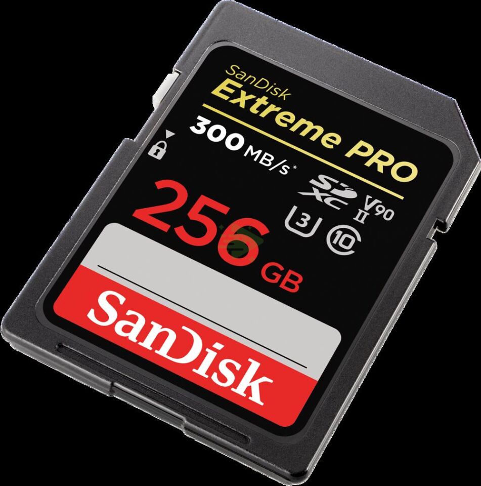 SanDisk Extreme PRO 256GB SDXC Memory Ca