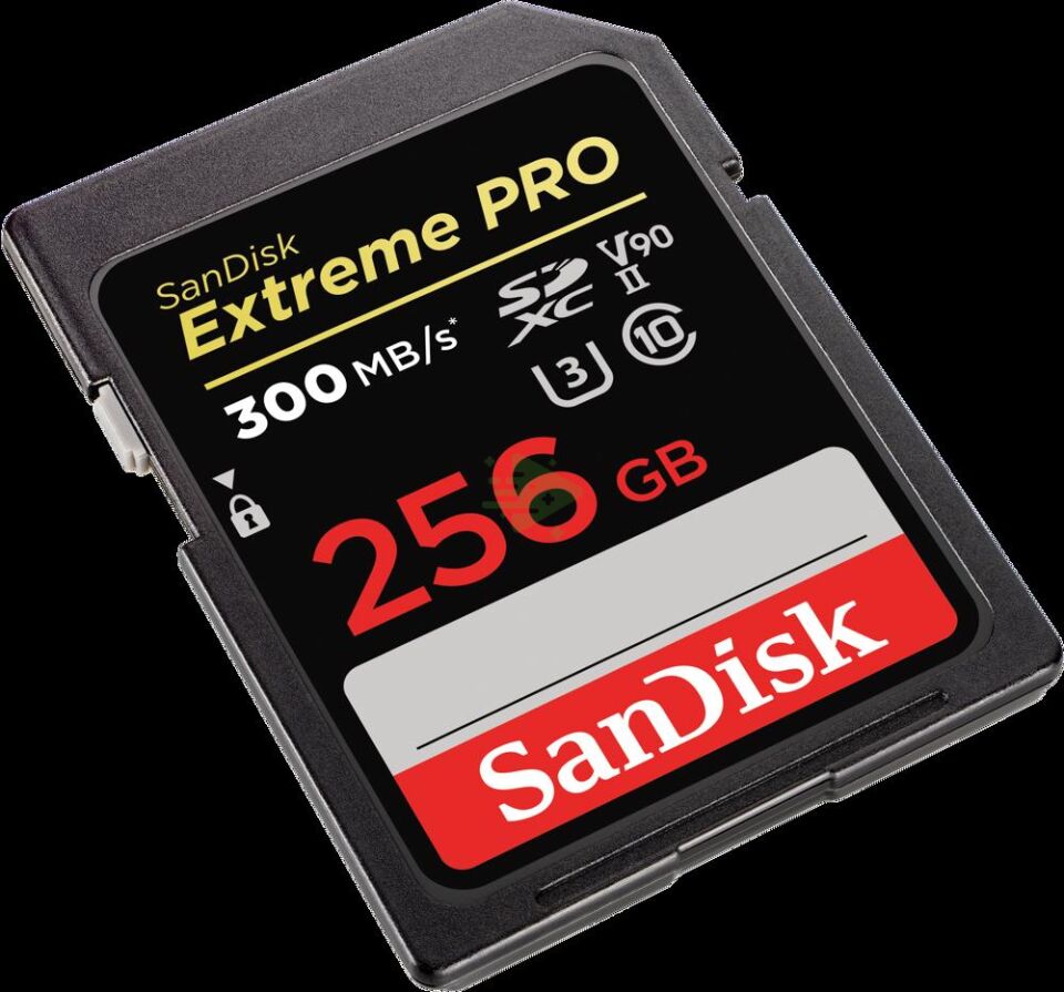 SanDisk Extreme PRO 256GB SDXC Memory Ca