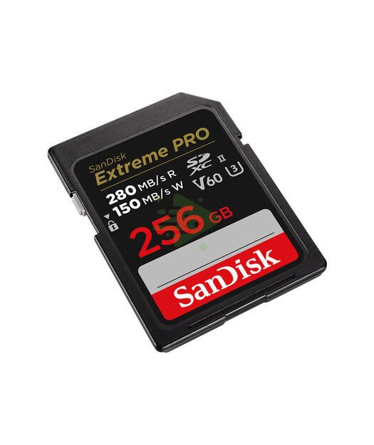 SanDisk Extreme PRO 256GB V60 SD cards