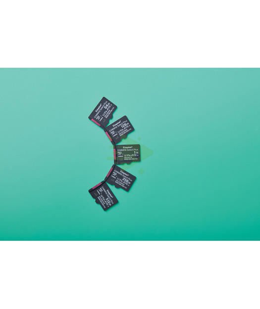 256GB microSDXC Canvas Select Plus Gen3 150MB/s A1 Card + Adapter