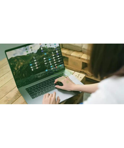 WD Green™ SN350 NVMe™ SSD 500 gb