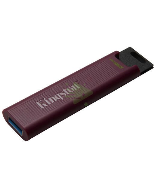 256GB DataTraveler Max Type-A 1000R/900W USB 3.2 Gen 2